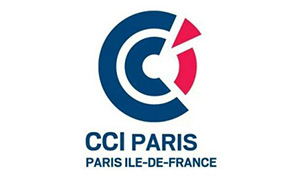 logo ccip